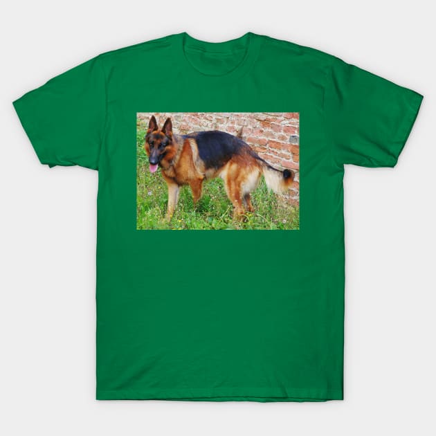 German Shepherd black and red full T-Shirt by Wanderingangel